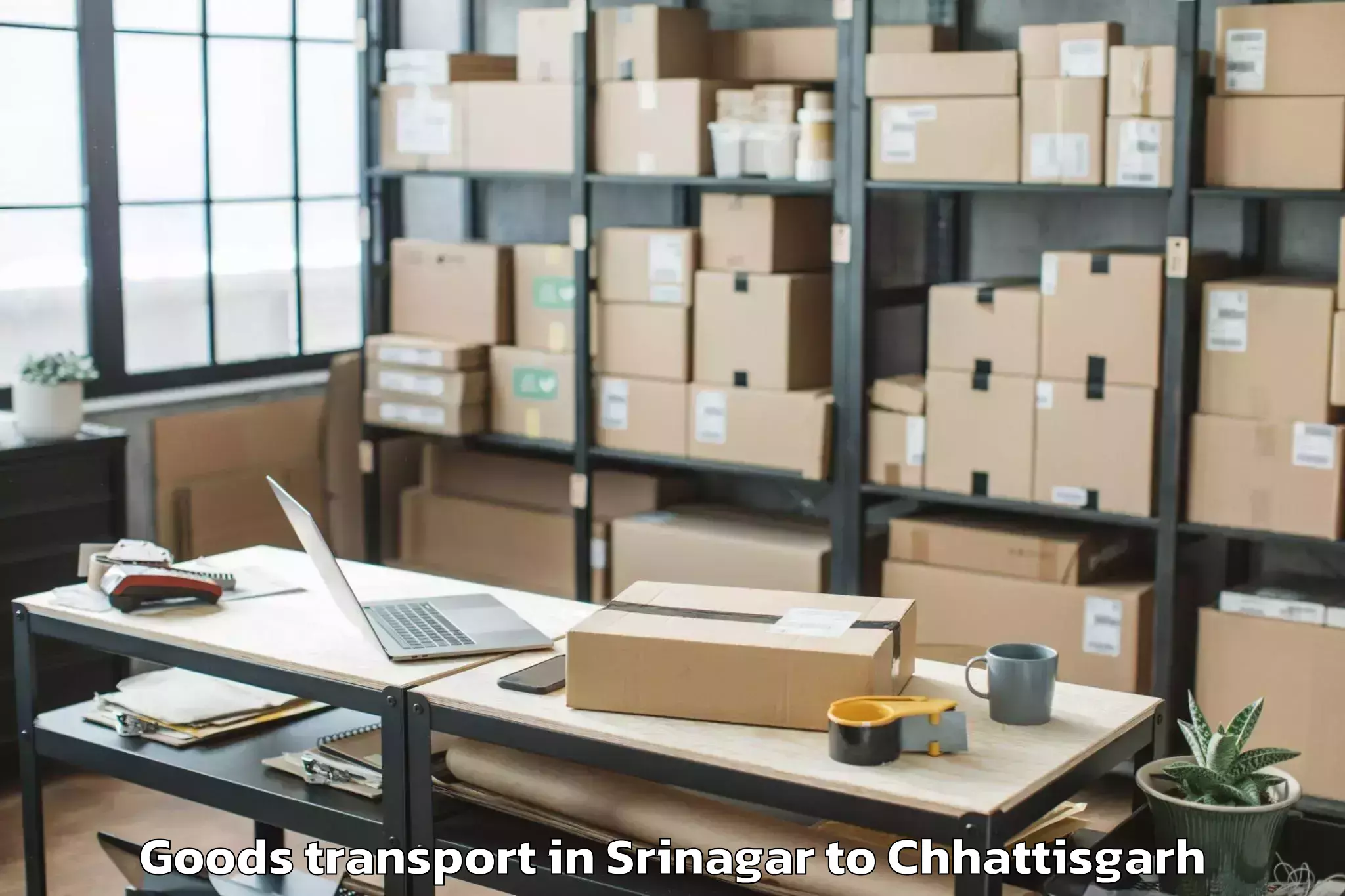 Discover Srinagar to Raigarh Goods Transport